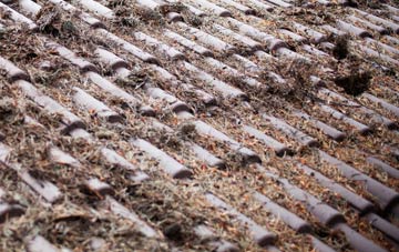 Clathy roof cleaning companies